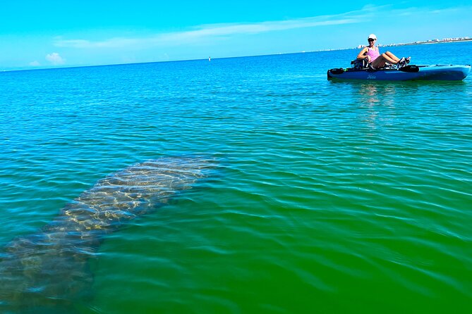 Guided Hobie Kayak EcoTour: Premium Eco Experience Bonita Springs - Starting at Big Hickory Pass bridge