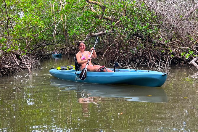 Guided Hobie Kayak EcoTour: Premium Eco Experience Bonita Springs - Wildlife watching around mangroves and open water