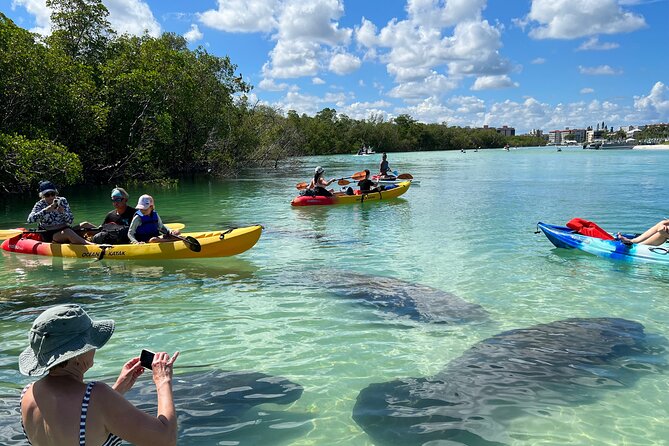 Guided Island EcoTour: CLEAR/Standard Kayak, SUP - Bonita Springs - Key points before you book