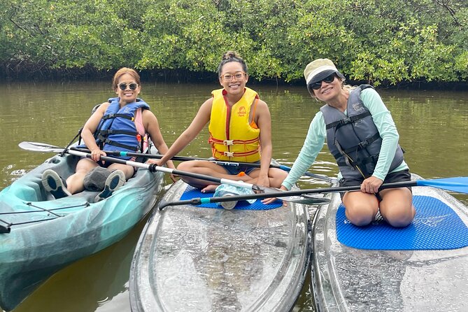 Guided Island EcoTour: CLEAR/Standard Kayak, SUP - Bonita Springs - Mangrove corridors and the first wildlife search