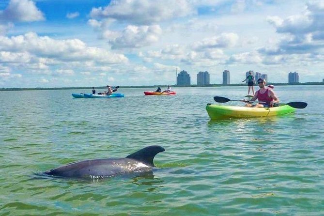 Guided Island EcoTour: CLEAR/Standard Kayak, SUP - Bonita Springs - Open Gulf water and the physical side