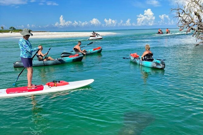Guided Island EcoTour: CLEAR/Standard Kayak, SUP - Bonita Springs - What the guides add to the price