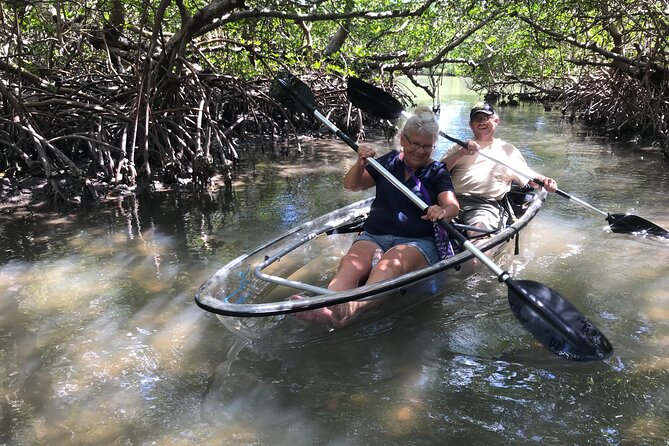 Guided Island EcoTour: CLEAR/Standard Kayak, SUP - Bonita Springs - Weather, tides, and the best time to go