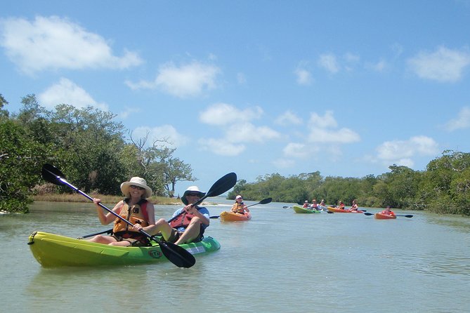 Guided Kayak Eco Tour - Bunche Beach - Key points to know before you paddle
