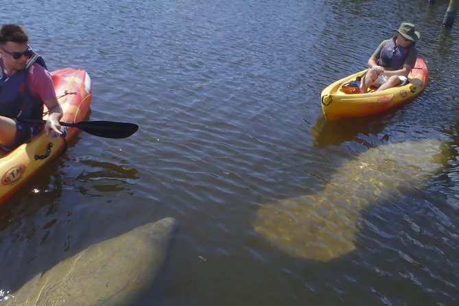 Guided Kayak Eco Tour - Bunche Beach - Through the mangroves and into open water