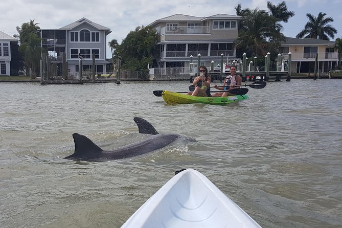 Guided Kayak Eco Tour - Bunche Beach - Guides are the strongest part of the experience
