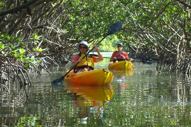 Guided Kayak Eco Tour - Bunche Beach - Is $69.95 a fair price?
