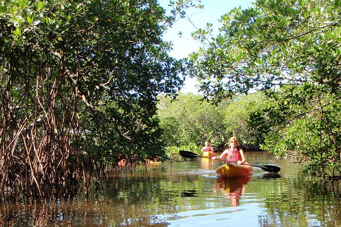 Guided Kayak Eco Tour - Bunche Beach - Who will enjoy this Fort Myers outing?