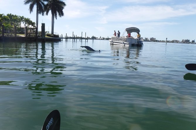 Guided Kayak Eco Tour - Bunche Beach - The beach break is short but useful