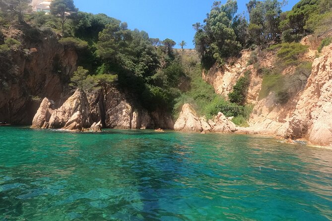 Guided Kayak & Snorkel tour to Costa Brava: Small Group and Lunch - Who gets the best value from this Costa Brava day?