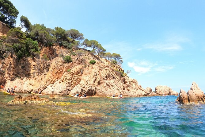 Guided Kayak & Snorkel tour to Costa Brava: Small Group and Lunch - Three hours among coves, caves, and clear water