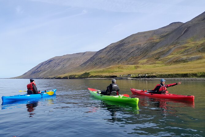 Guided kayak tour in Siglufjörður / Siglufjordur. - The value of the six-person limit