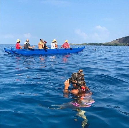 Guided Outrigger Canoe Tour in Kealakekua Bay - Snorkeling the reef before the crowd arrives