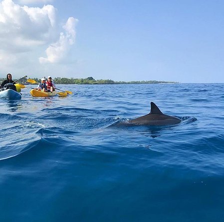 Guided Outrigger Canoe Tour in Kealakekua Bay - Who will enjoy this most