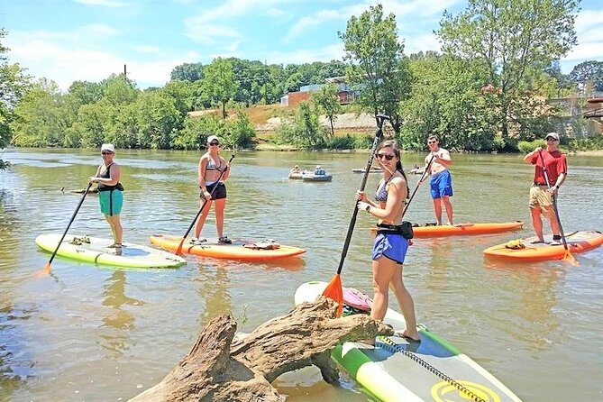 Guided Paddleboard Tour Through Asheville's River Arts District - Key points at a glance