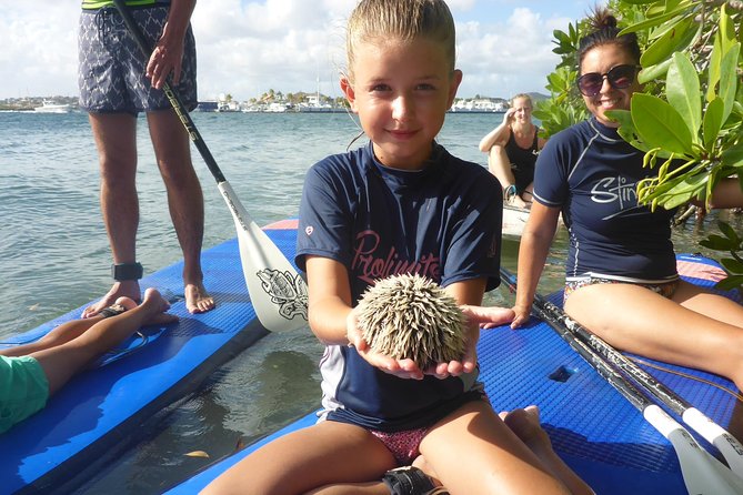 Guided paddleboarding (SUP) mangrove ECO tour for beginners - A Quiet Way to See Spanish Waters