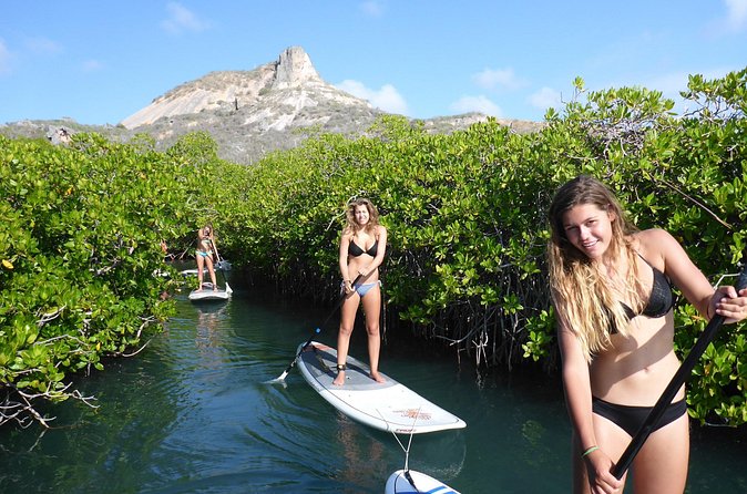 Guided paddleboarding (SUP) mangrove ECO tour for beginners - The Break and the Downwind Return