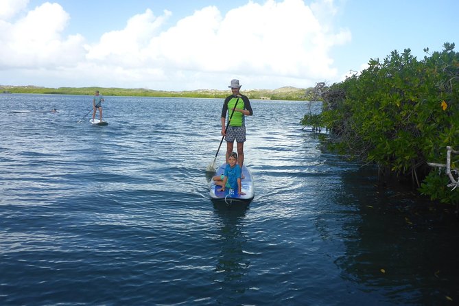 Guided paddleboarding (SUP) mangrove ECO tour for beginners - What $65 Covers