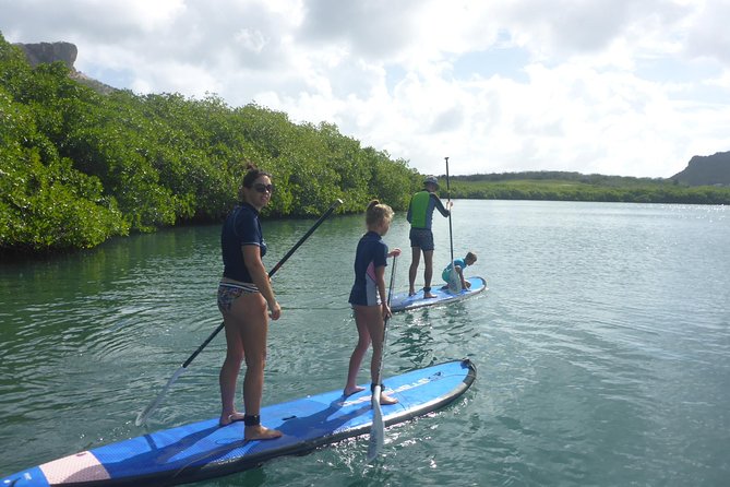 Guided paddleboarding (SUP) mangrove ECO tour for beginners - Sun, Heat, and Physical Effort