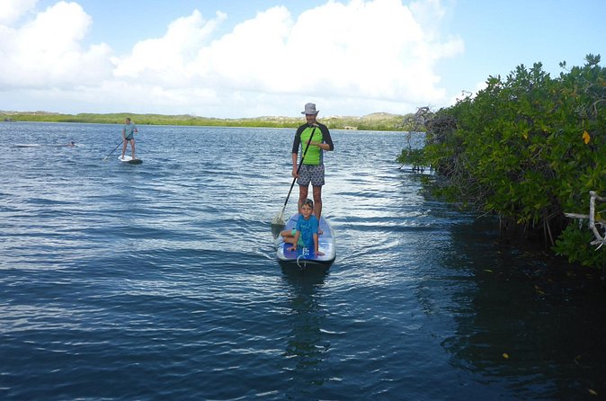 Guided paddleboarding (SUP) mangrove ECO tour for beginners - Families, Cruise Stops, and Mixed Groups