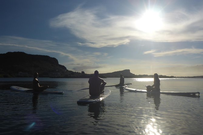 Guided paddleboarding (SUP) mangrove ECO tour for beginners - Through the Mangrove Channels