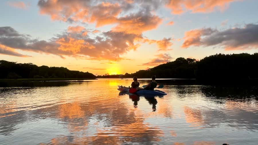Guided Sundowner Kayak Tour - Who Should Book, and Who Should Skip It