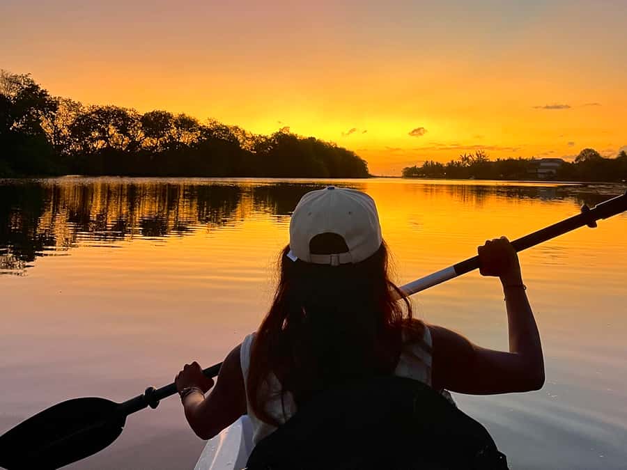 Guided Sundowner Kayak Tour - Paddling Upriver Before the Light Changes