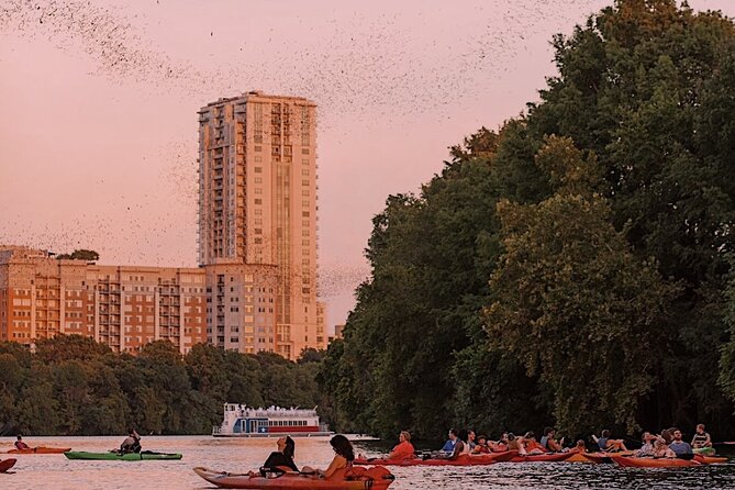 Guided Sunset Bat Kayak Tour in Austin - Why the kayak gives you a better bat-viewing angle