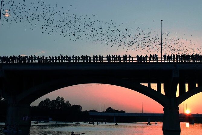 Guided Sunset Bat Kayak Tour in Austin - Stevie Ray Vaughan and Austin’s skyline