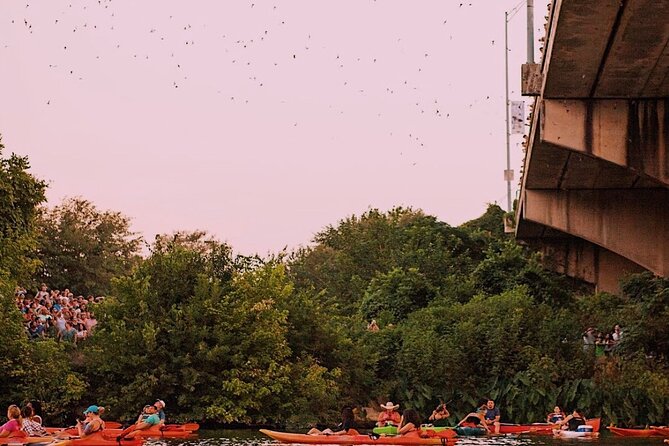 Guided Sunset Bat Kayak Tour in Austin - The best season and time to go
