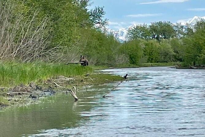 Half-Day Guided Kayak Tour on Knik River - The Knik Glacier creates the photo stop