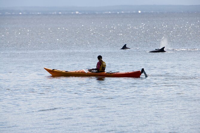 Half-Day Jervis Bay Sea Kayak Tour - The 7:45 am start from Huskisson