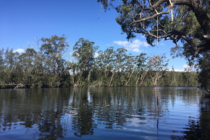 Half-Day Jervis Bay Sea Kayak Tour - Wildlife watching at water level
