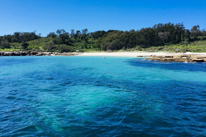Half-Day Jervis Bay Sea Kayak Tour - The quiet beach break and morning tea