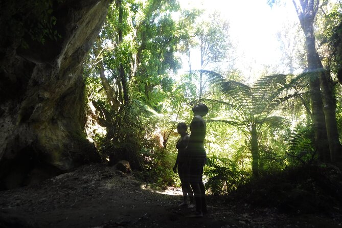 Half-Day Kayak to the Maori Rock Carvings in Lake Taupo - How hard is the kayaking?