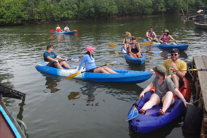 Half day Mangrove by Kayaking or Longtail boat from Koh Lanta - Kayak or longtail boat: choose with care