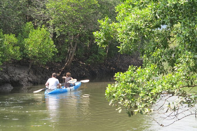 Half day Mangrove by Kayaking or Longtail boat from Koh Lanta - How the pickup and group size affect the day