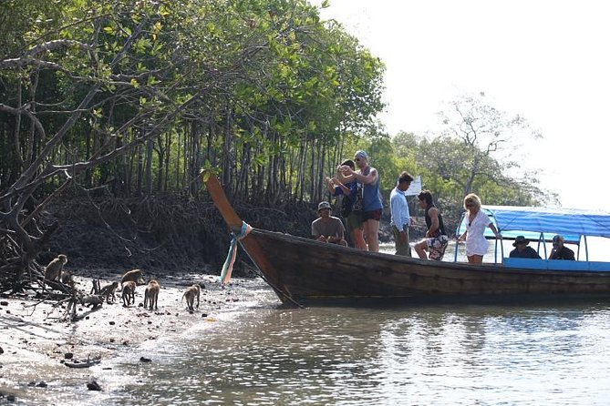Half day Mangrove by Kayaking or Longtail boat from Koh Lanta - Who will enjoy this Koh Lanta outing