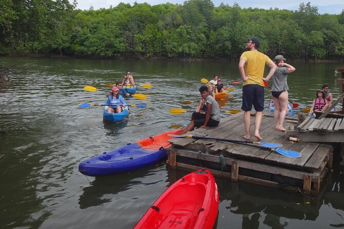 Half day Mangrove by Kayaking or Longtail boat from Koh Lanta - Monkey Point and the close animal encounters