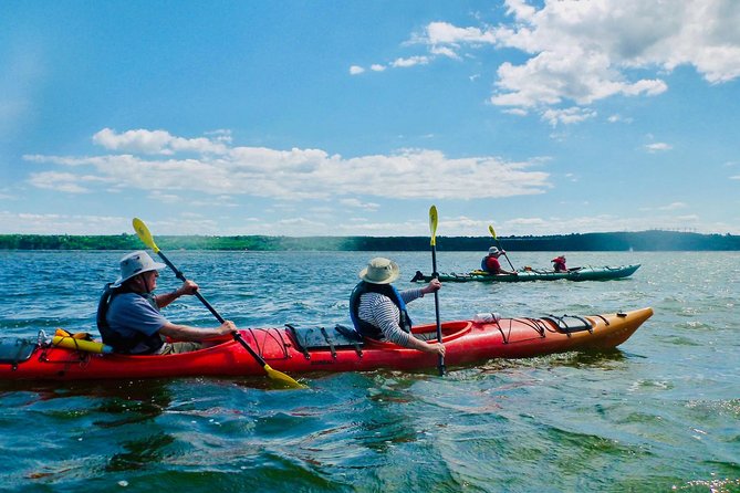Half-Day Orleans Island Small-Group Sea Kayaking Tour - A river view of Orléans Island