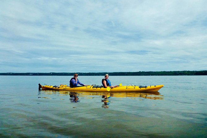 Half-Day Orleans Island Small-Group Sea Kayaking Tour - Weather, clothing, and comfort