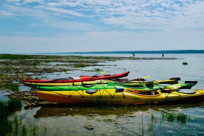 Half-Day Orleans Island Small-Group Sea Kayaking Tour - Is $59.20 good value?