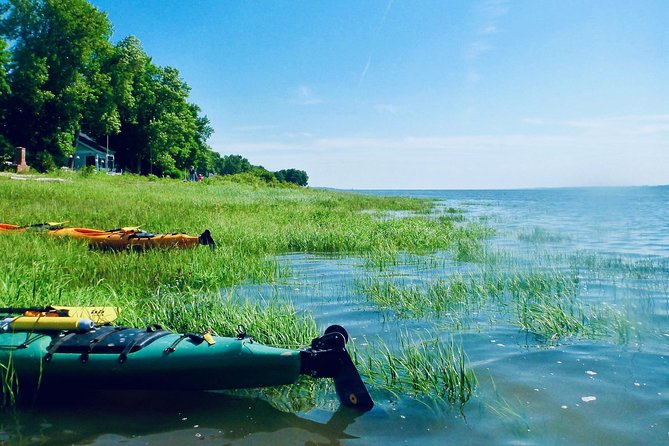 Half-Day Orleans Island Small-Group Sea Kayaking Tour - What happens before you launch