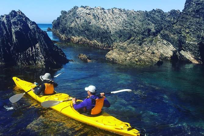 Half Day Sea Kayak Tour from Batemans Bay with Morning Tea - What the 7:30 am start means