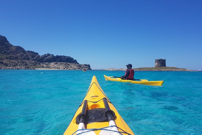 Half Day Sea Kayak Trip - Key details before you paddle