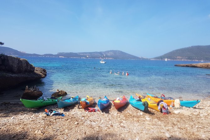 Half Day Sea Kayak Trip - Is $96.79 a fair price?