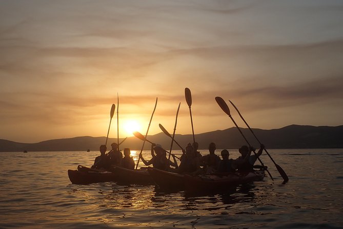 Half-Day Split Sea Kayak Adventure - Who will enjoy this Split kayaking trip most?