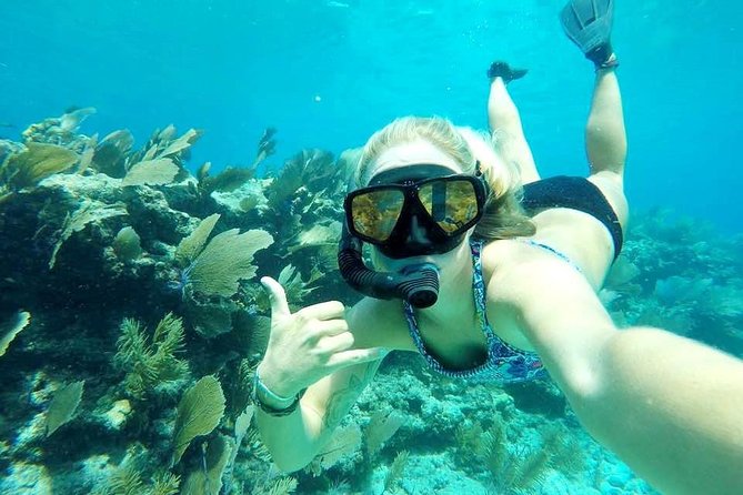 Half-Day Trip from Key West with Kayaking, Snorkeling & Sunset - Morning or afternoon: choosing the right departure