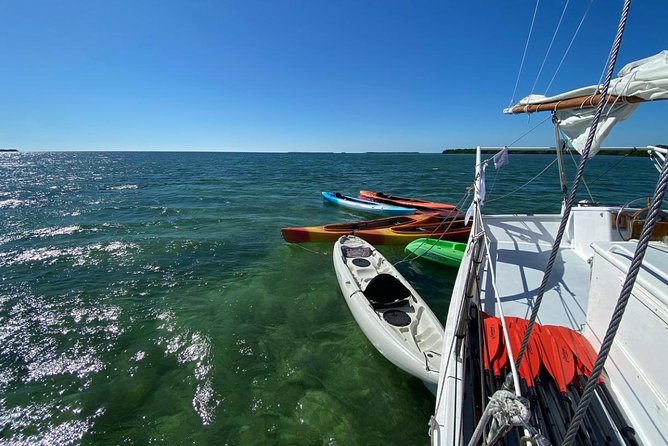 Half-Day Trip from Key West with Kayaking, Snorkeling & Sunset - Paddling into the mangrove backcountry