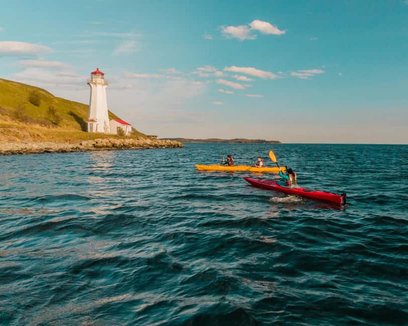 Halifax: Guided Kayak Tour with Multiple Options - Key points at a glance